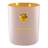 M&SENSE vela Palo & Santo vista frontal con vidrio elegante y aroma duradero