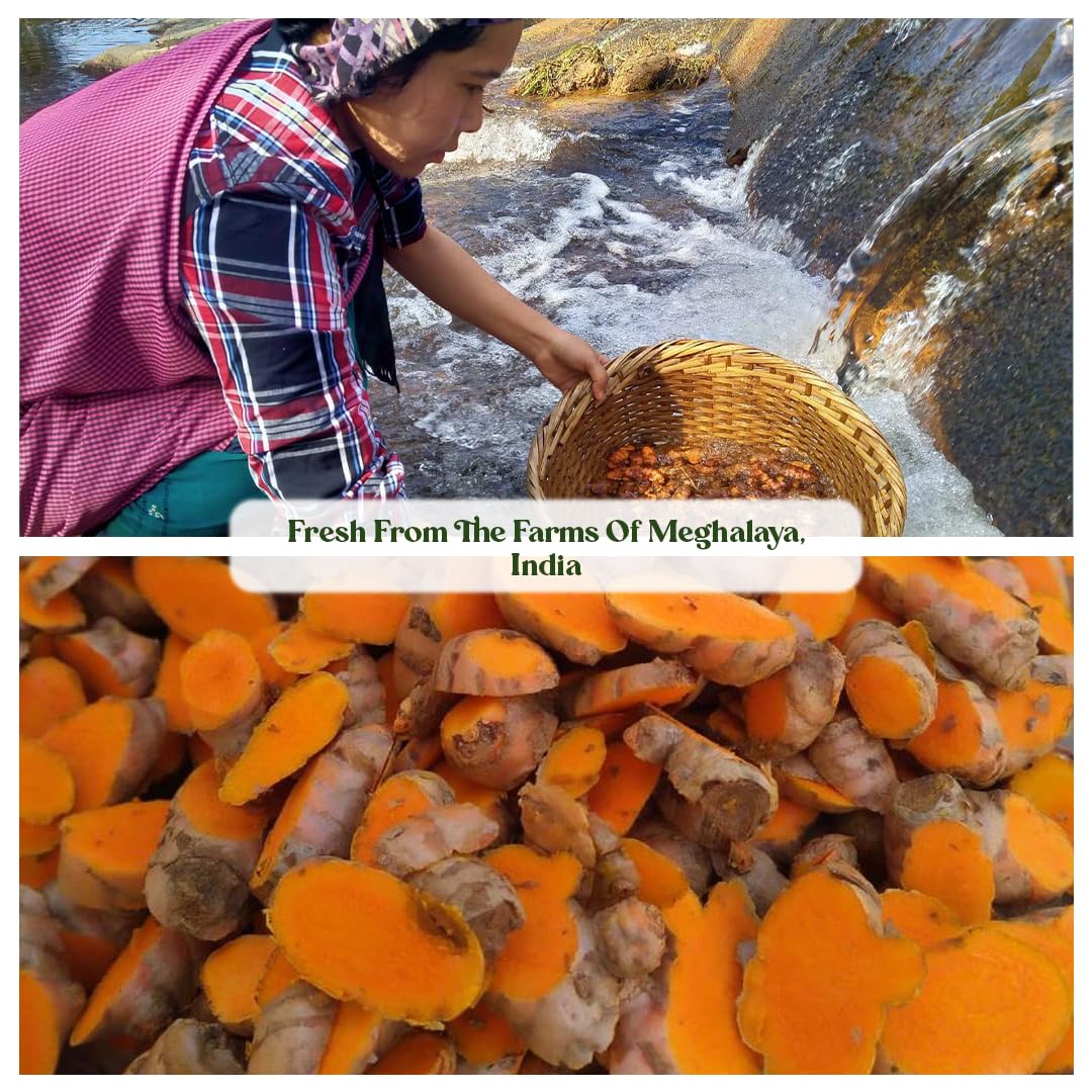 Mt. Meru raíces Lakadong recién cosechadas en Meghalaya con práctica regenerativa