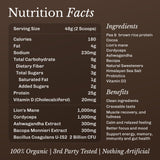 MUD\WTR ingredientes naturales: cacao, lion's mane y bacopa ilustrados