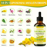 Muechaya ingredientes naturales (saúco, tomillo, clorofila) mostrando origen herbal