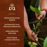 Munay Botanicals primer plano del extracto para apreciar su textura concentrada