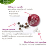 MUSCADINEX etiqueta con ingredientes clave y beneficio de biodisponibilidad