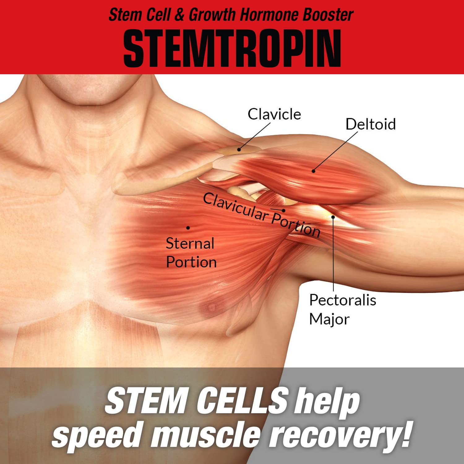 Comparación de tamaño del envase de MuscleMeds STEMTROPIN junto a una mano para escala