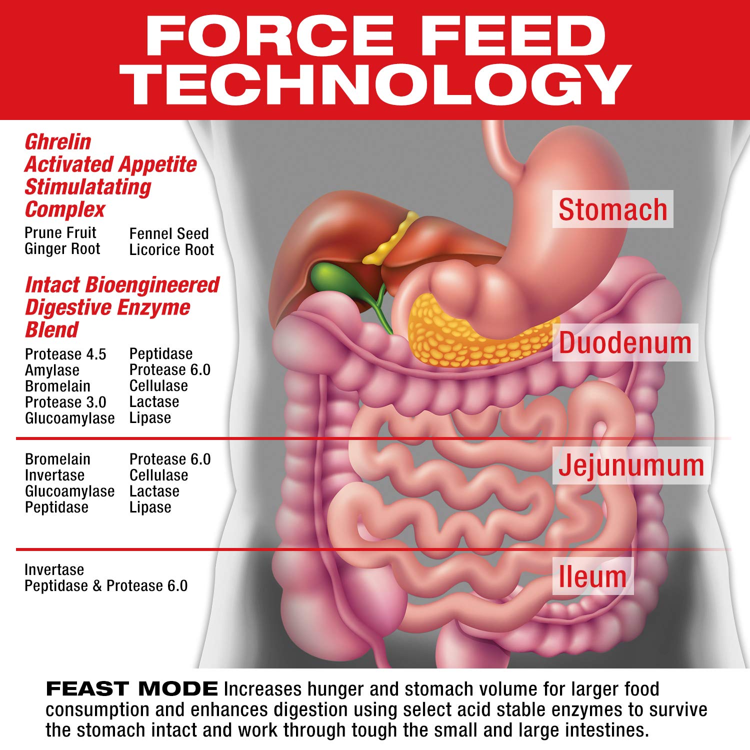 MuscleMeds ingredientes secos cerca, enzimas y extractos para mejor digestión