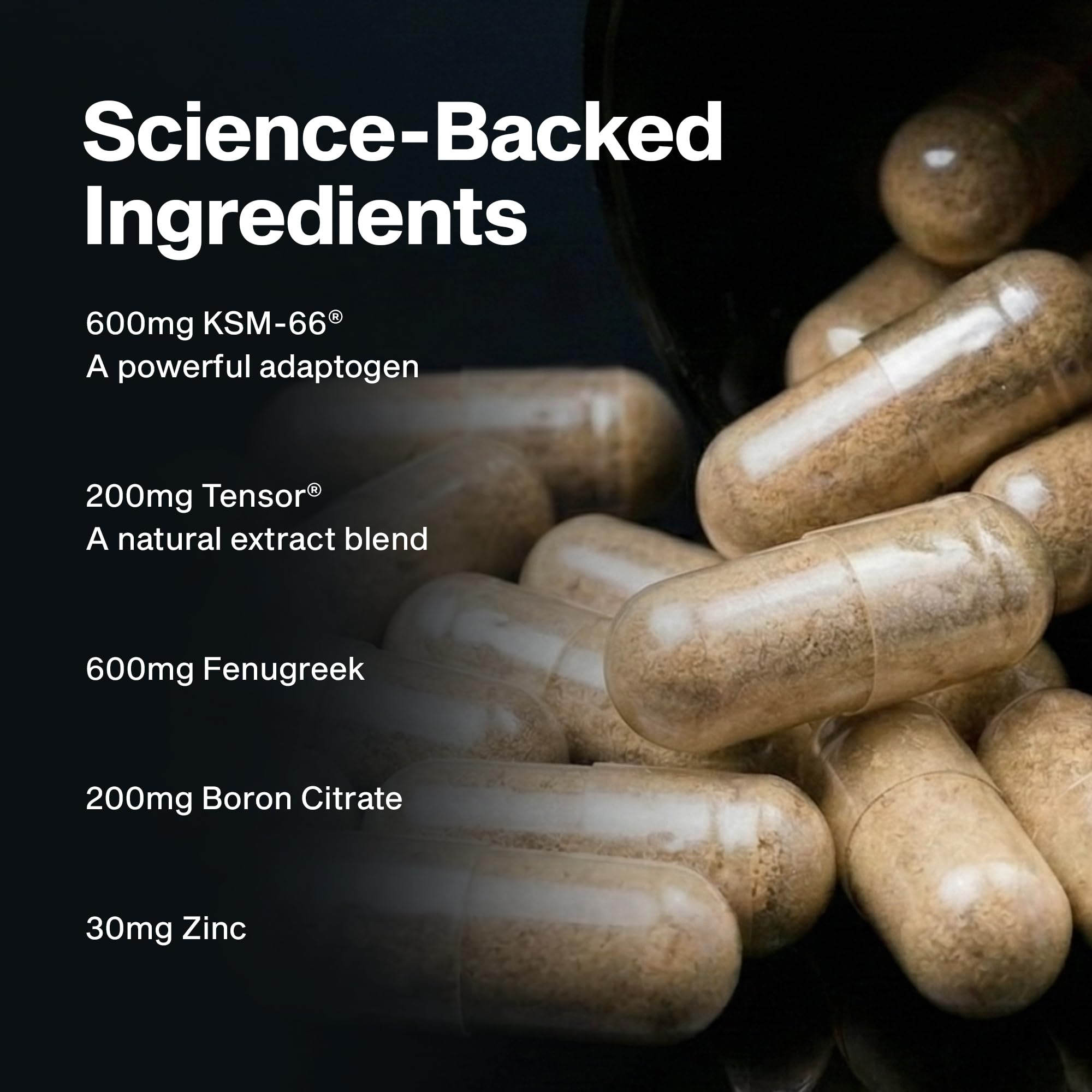 MuscleTech AlphaTest comparación de tamaño del frasco para entender suministro