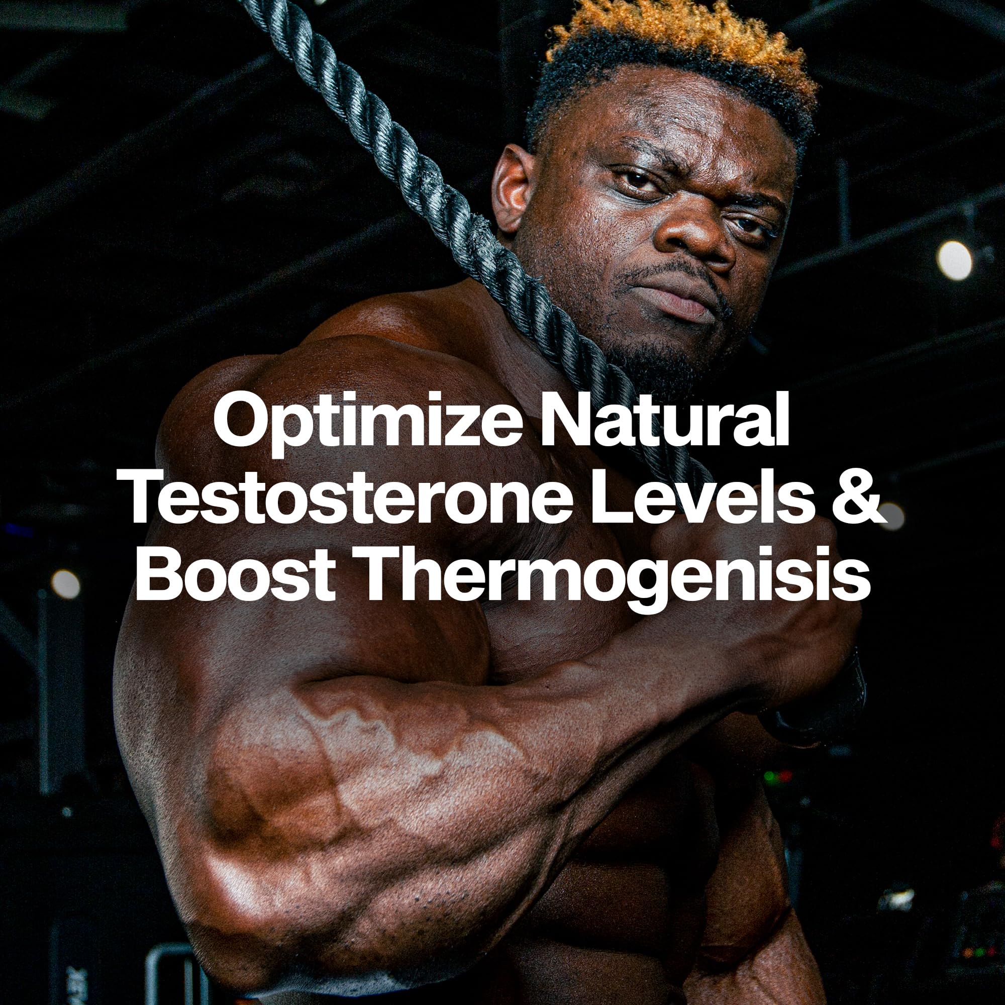 MuscleTech AlphaTest Thermo junto a una regla para comparar tamaño del envase, beneficio escala real