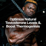 MuscleTech AlphaTest Thermo junto a una regla para comparar tamaño del envase, beneficio escala real