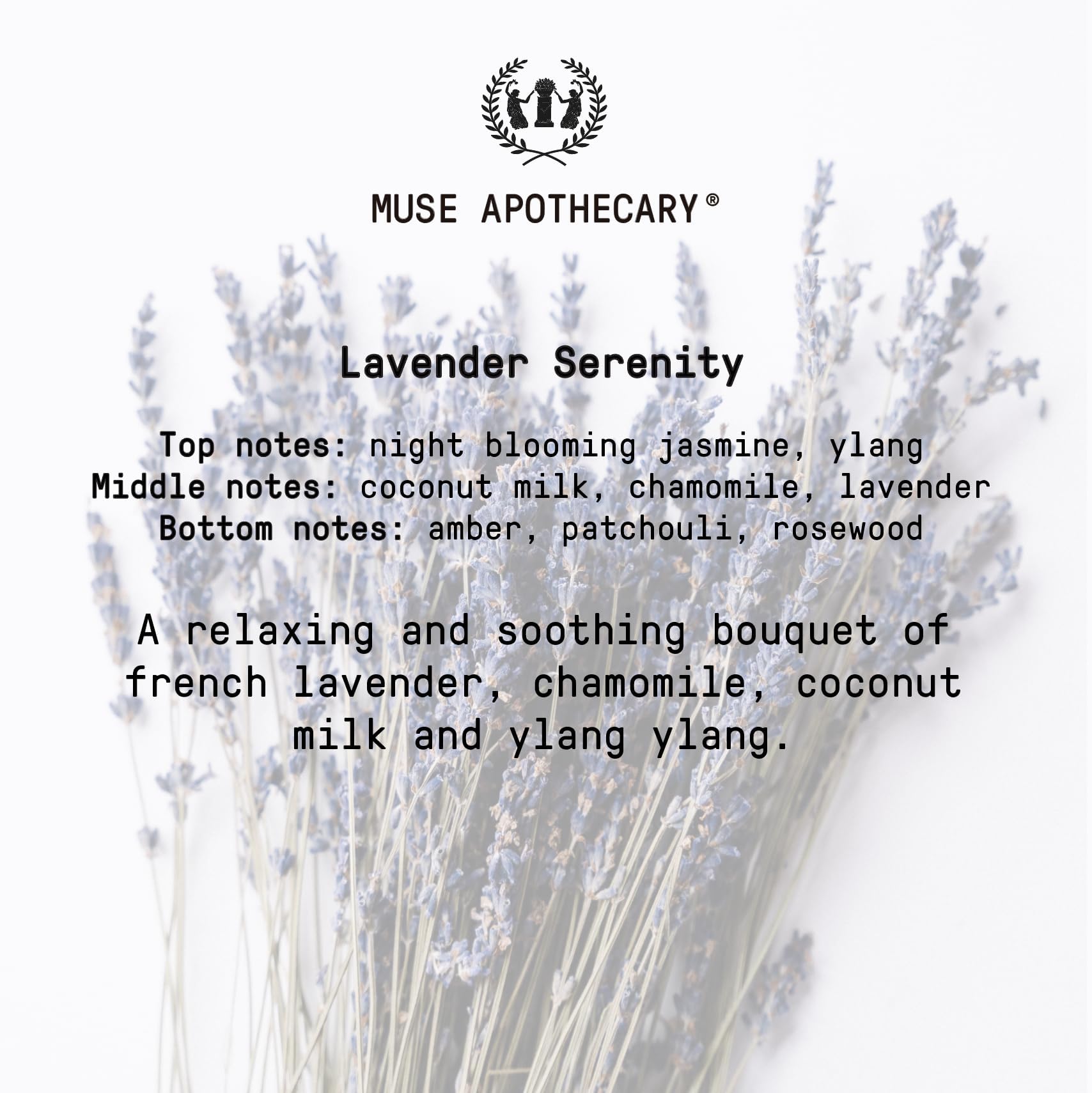 Muse Apothecary tamaño de producto en mano para referencia práctica