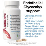 MYBODYRX cápsulas Endocalyx primer plano que destaca pureza y formulación