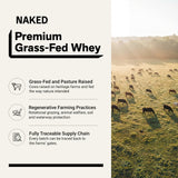 NAKED primer plano de la textura del polvo de proteína, fácil de disolver