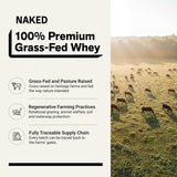 NAKED Whey textura del polvo en primer plano, facilita disolución