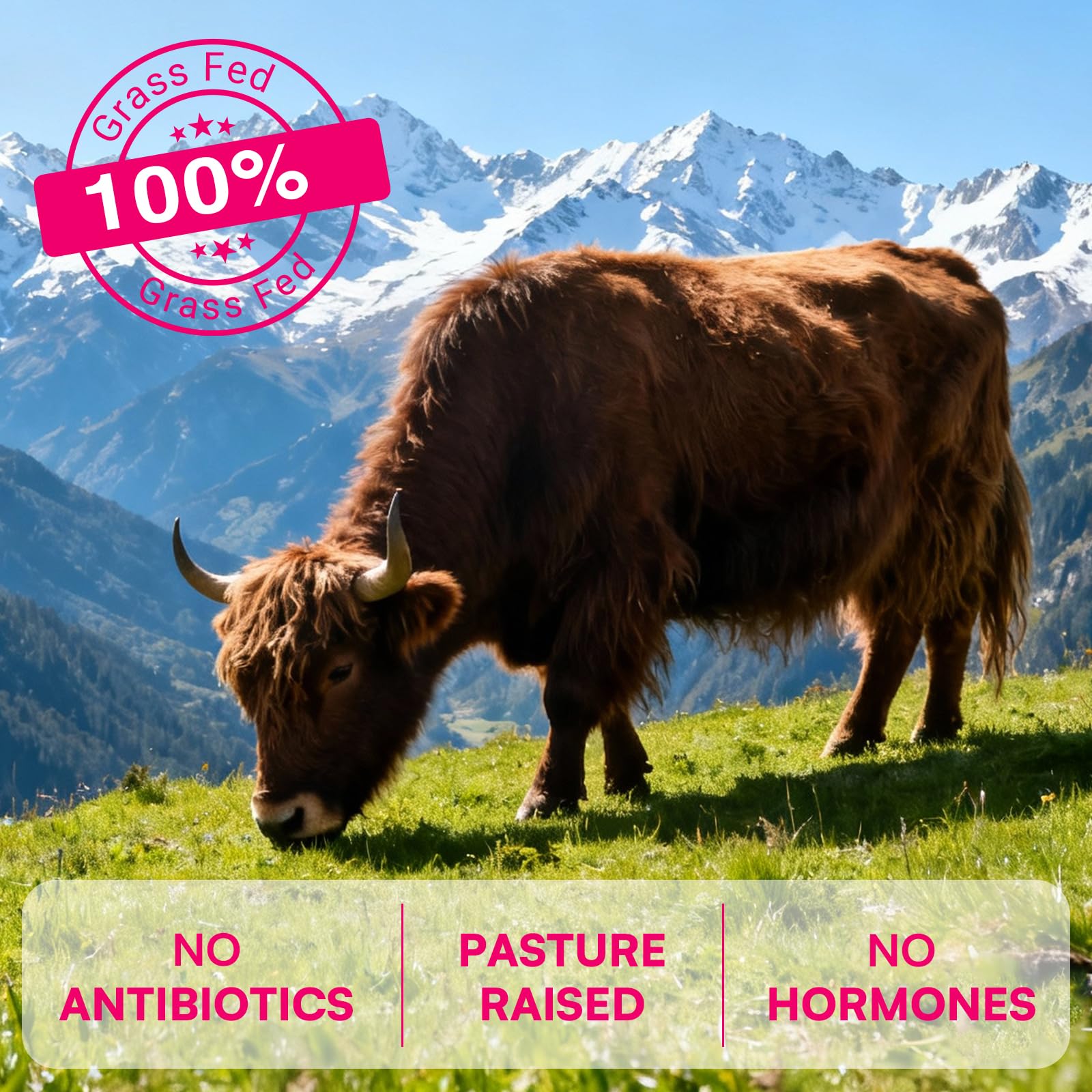 Nassiouy ingredientes crudos mostrados para destacar origen grass-fed