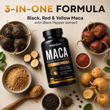 Natgrown polvo de maca gelatinizada textura fina que facilita la digestión
