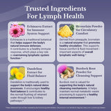NATION HEALTH MD ingredientes secos diente de león, bardana y cúrcuma en apoyo visual