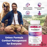 NATISLAND ingredientes activos dispuestos: ashwagandha, rhodiola y magnesio visibles