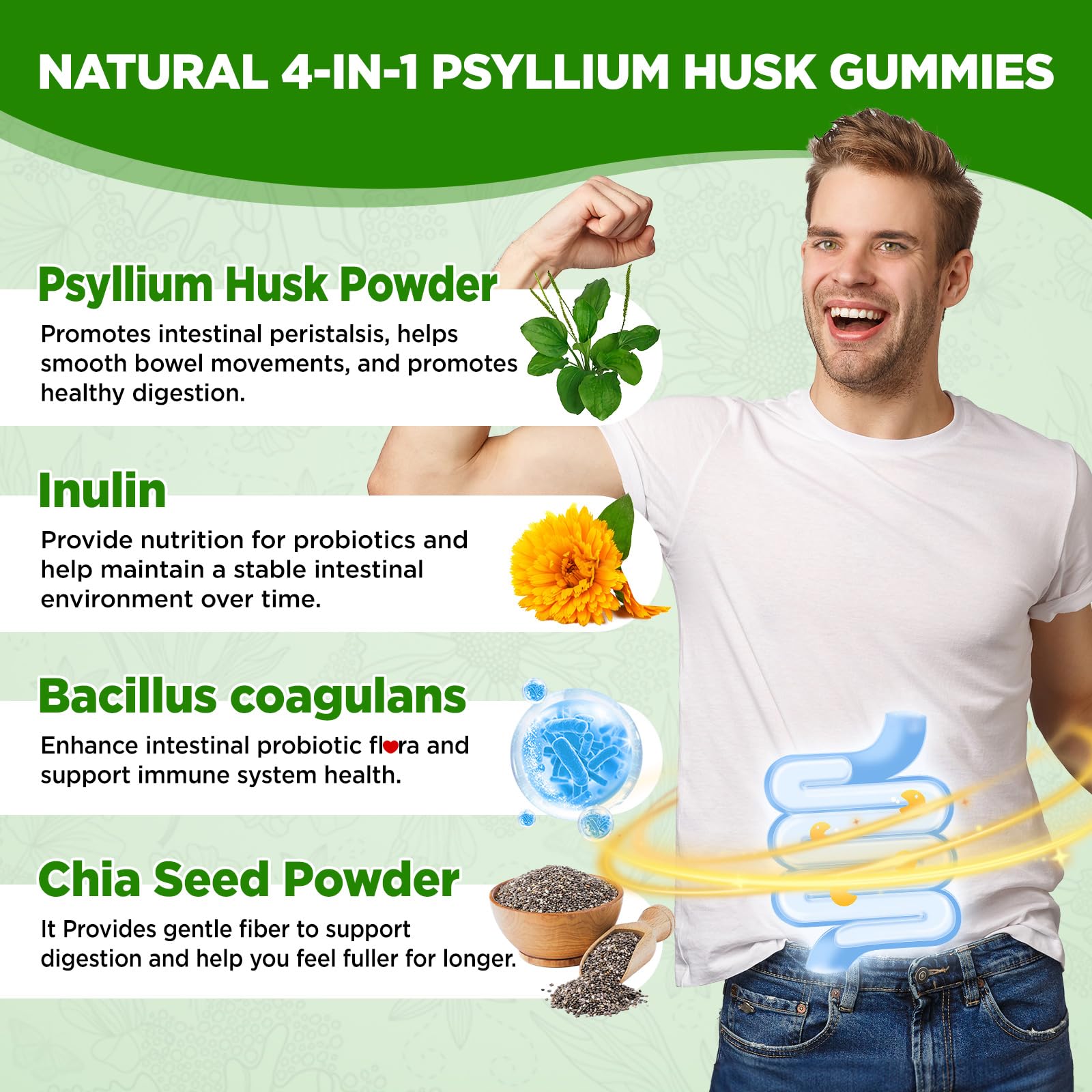 NATISLAND ingredientes clave psyllium, inulina y chía en vista cercana