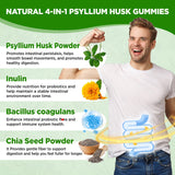 NATISLAND ingredientes clave psyllium, inulina y chía en vista cercana