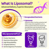 Detalle de textura liposomal NATISLAND que resalta absorción mejorada y pureza