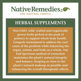 Native Remedies ingredientes naturales melisa lavanda pasiflora visual