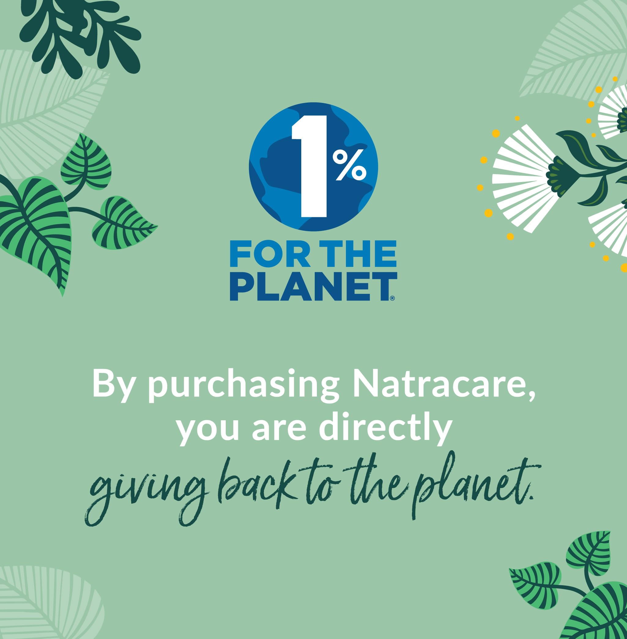 natracare caja abierta con 30 protectores listos y suministro duradero