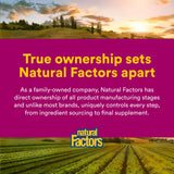 Natural Factors botella sobre hojas de orégano que sugiere origen natural