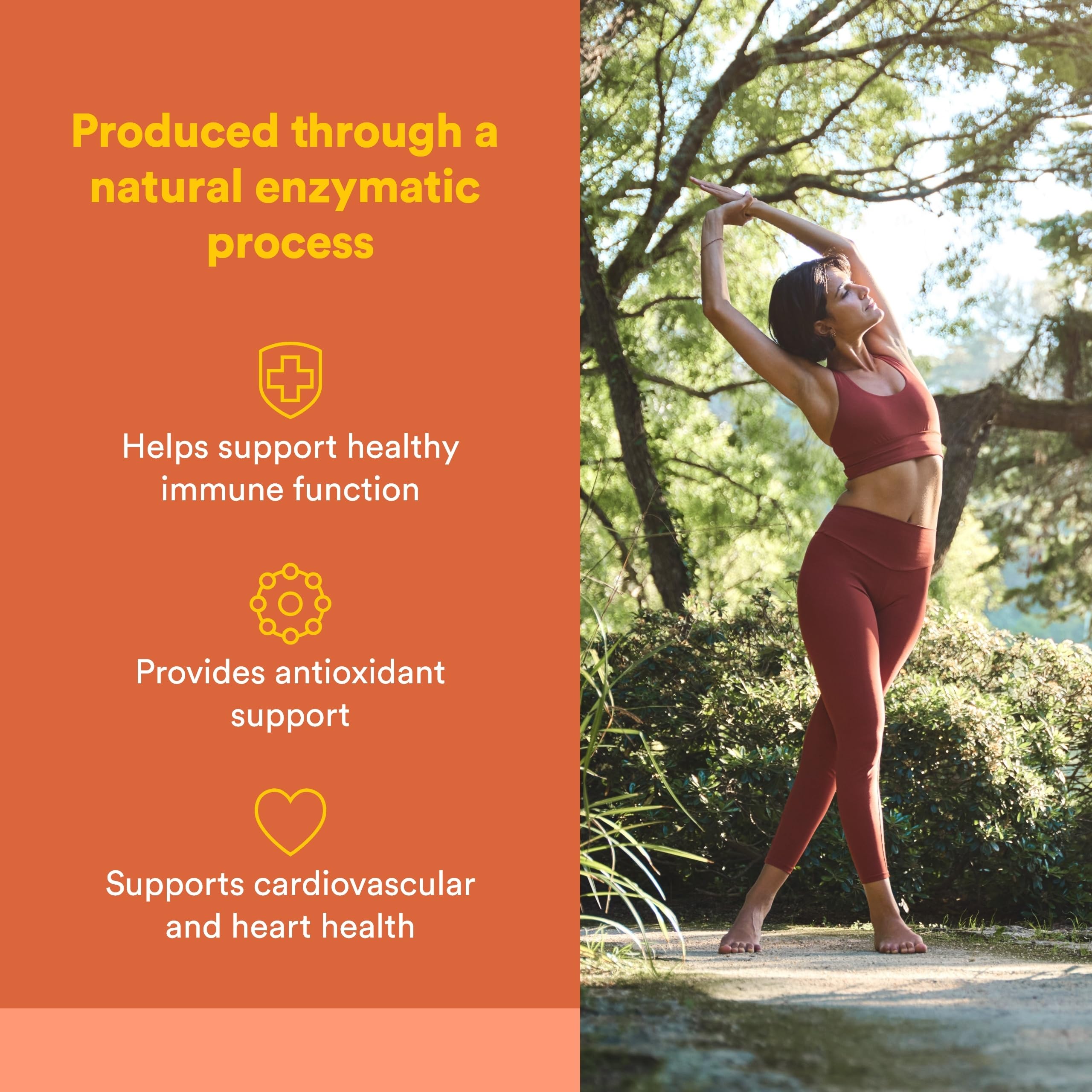 Natural Factors cápsulas vegetarianas en primer plano con aspecto uniforme