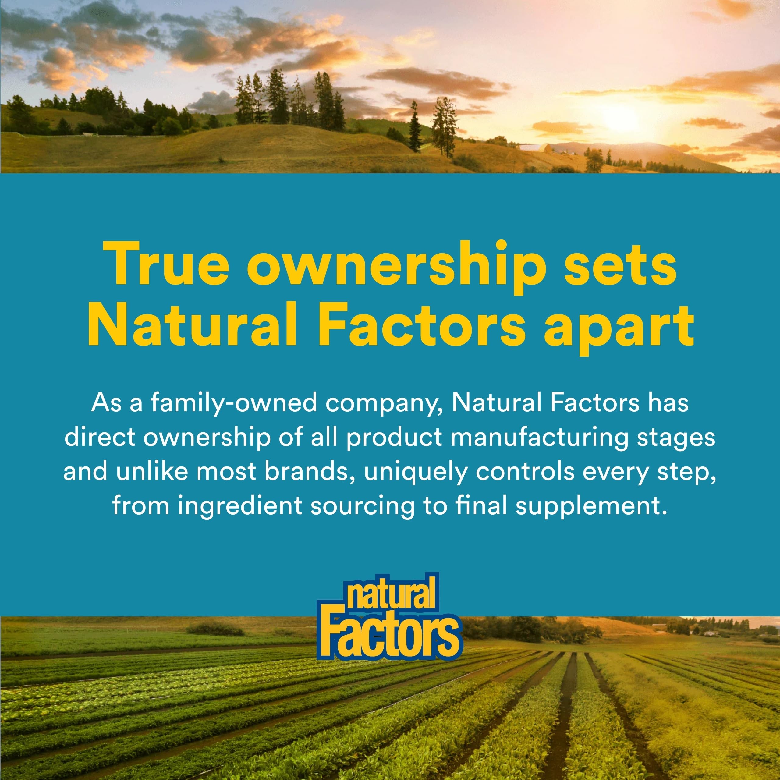 Natural Factors comparación de tamaño de cápsula para referencia