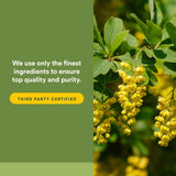 Natural Factors cápsula en mano para comparar tamaño y facilidad de ingestión