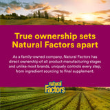 Natural Factors frasco en mano para comparar tamaño y destacar duración de las 375 dosis