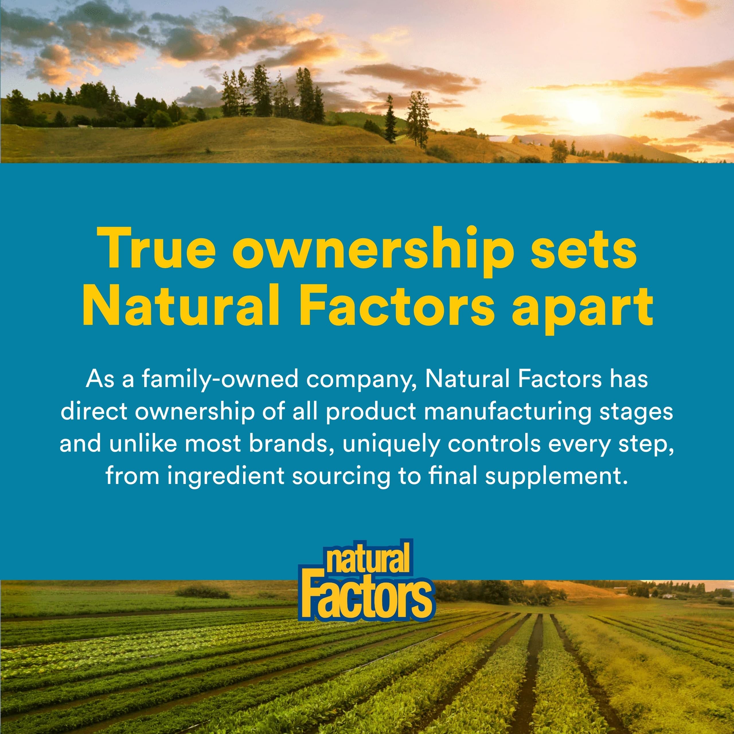 Natural Factors cápsula junto a una moneda para comparar escala real