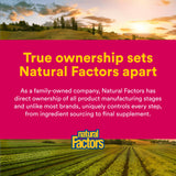 Natural Factors primer plano del concentrado en polvo, potencia del extracto