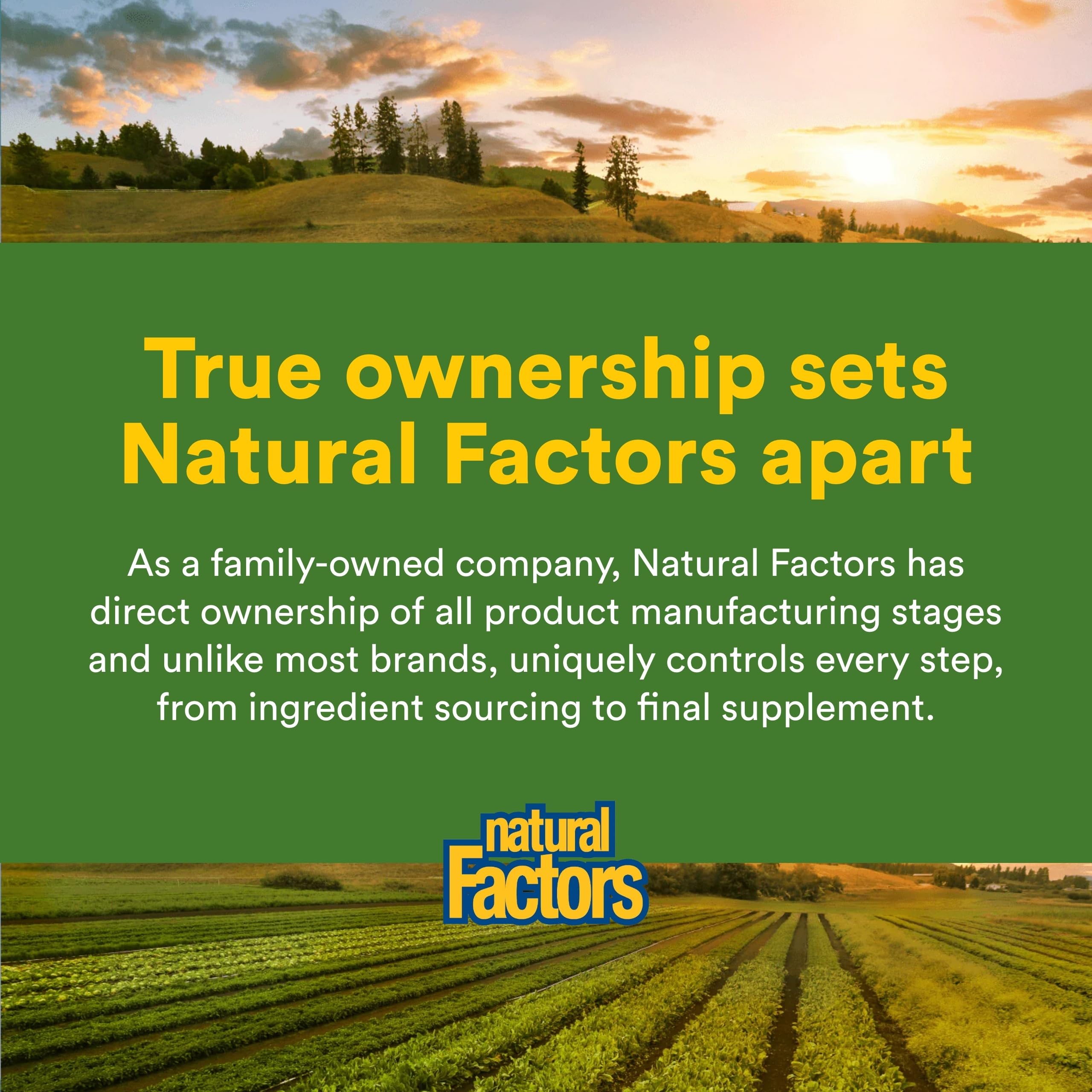 Natural Factors cuchara dosificadora con polvo, dosis práctica