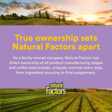 Natural Factors primer plano del polvo resaltando aroma y sabor tropical