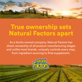 Natural Factors batido en escenario matinal que ilustra integración en la rutina diaria