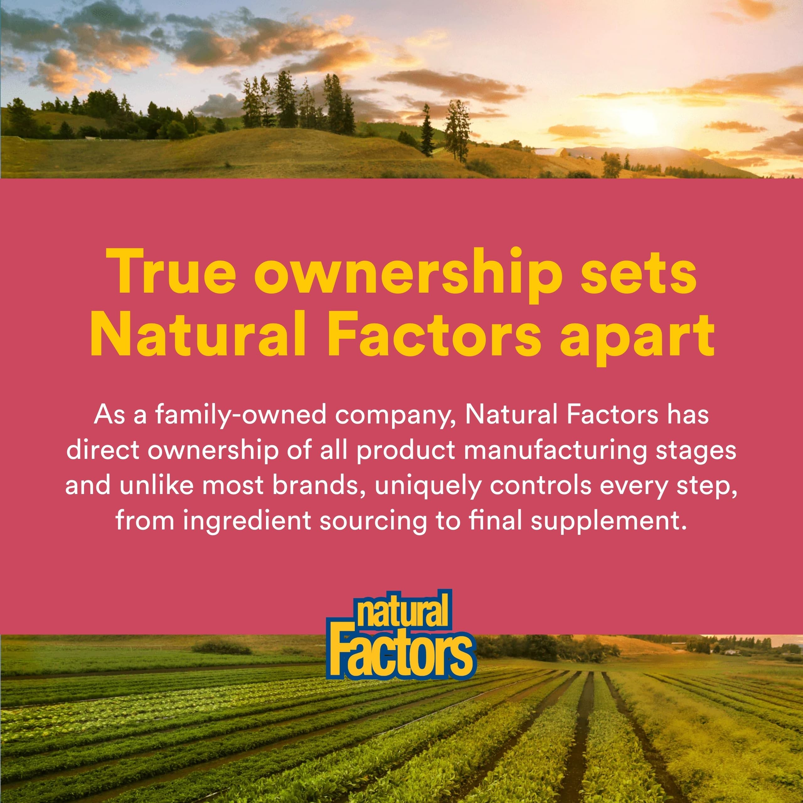 Natural Factors frasco en cocina sugiriendo integración diaria en rutina saludable