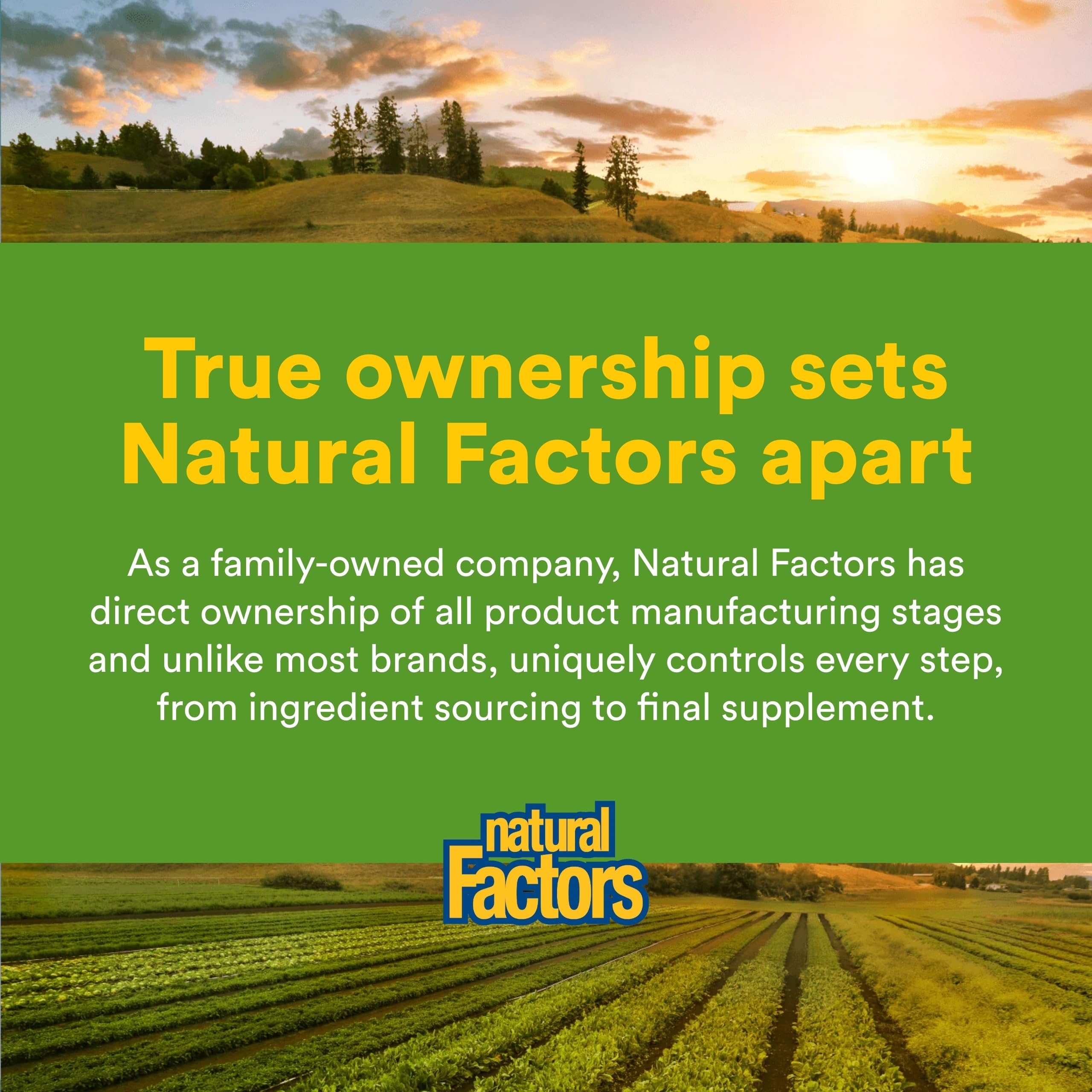 Natural Factors frasco junto a taza en cocina representando uso diario