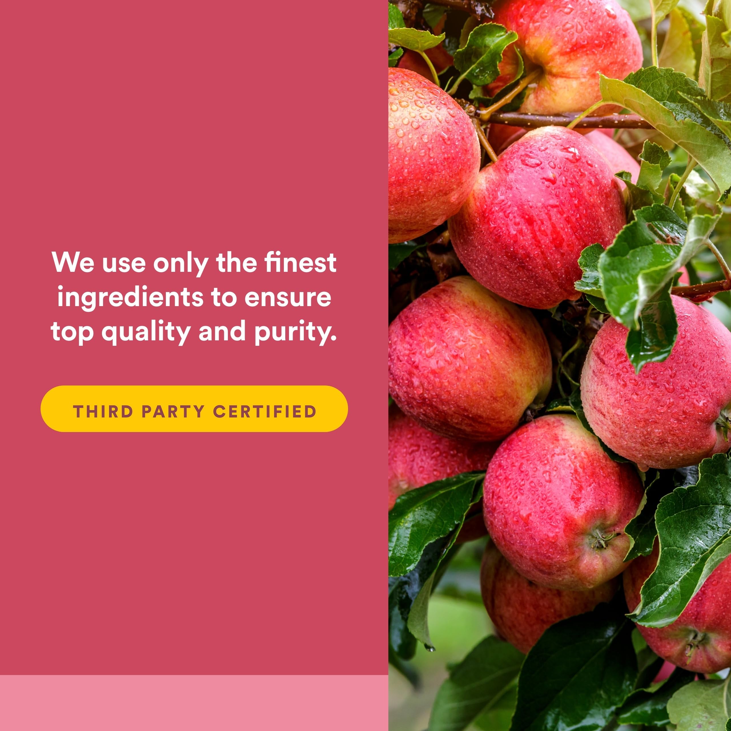Natural Factors etiqueta de ingredientes destacando pureza y certificaciones
