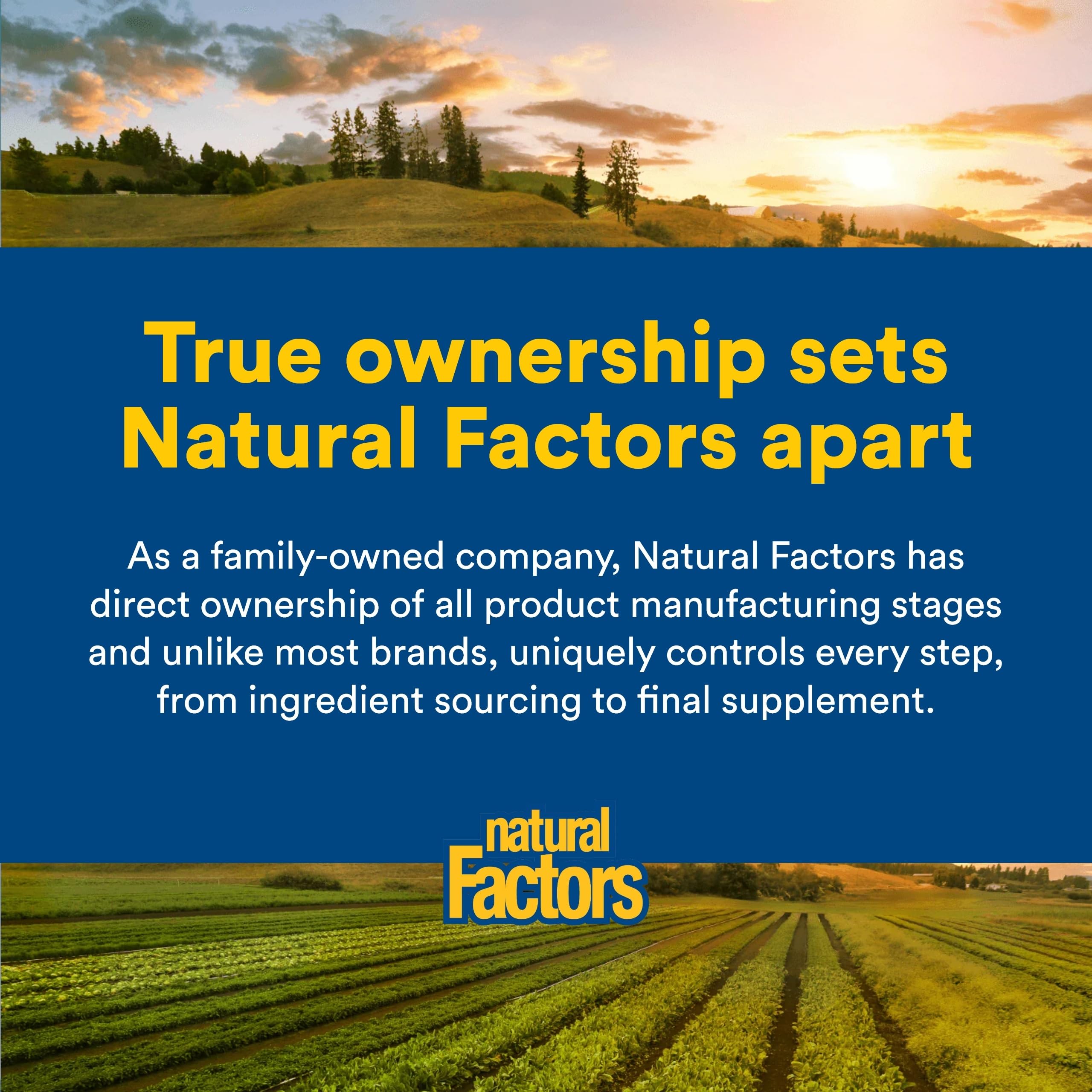 Natural Factors polvo complementario mostrado como alternativa para mezclar