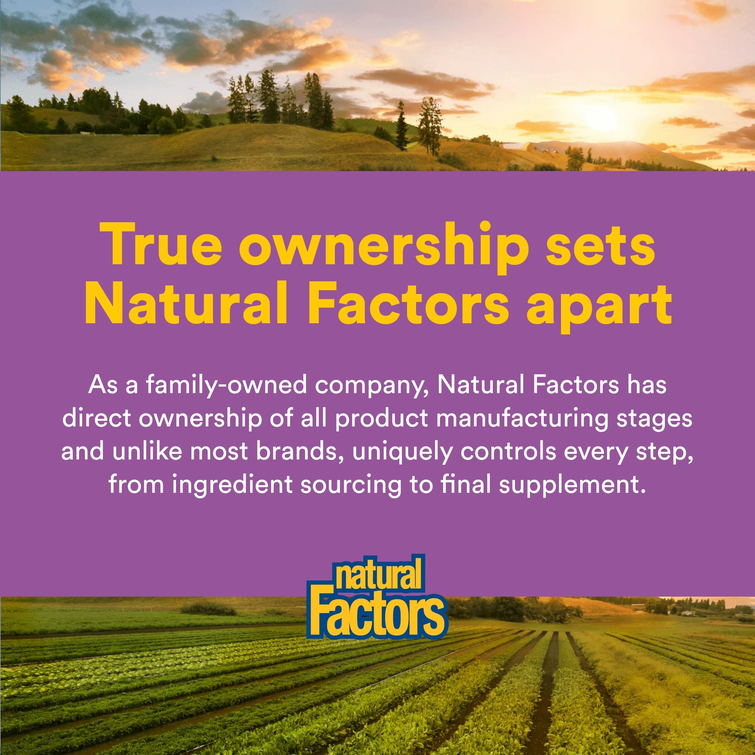 Natural Factors frasco en cocina representando integración en rutina saludable