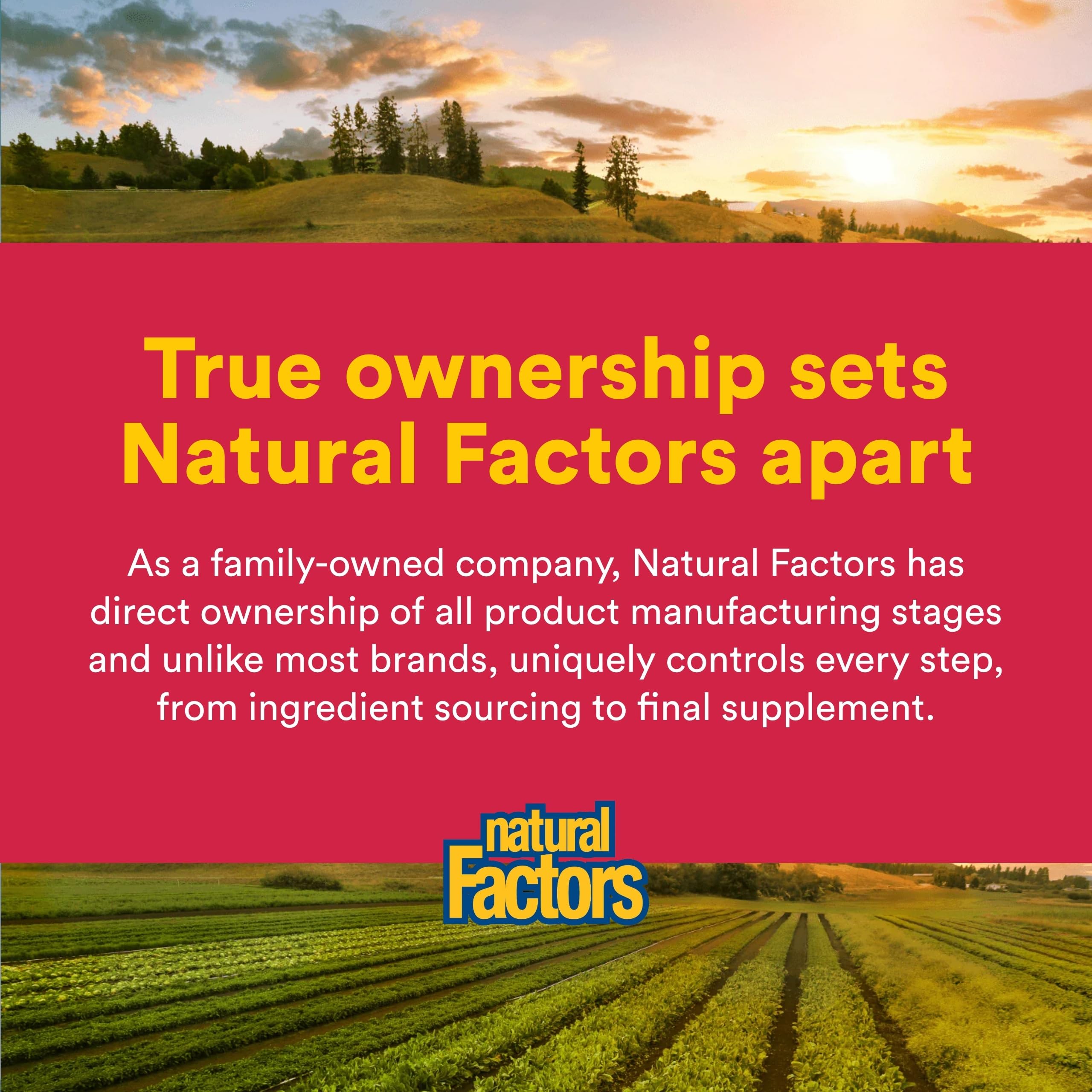 Natural Factors producto en cocina junto a alimentos saludables, integrado al estilo de vida