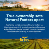 Natural Factors frasco en ambiente doméstico, sugiere integración en rutina diaria saludable