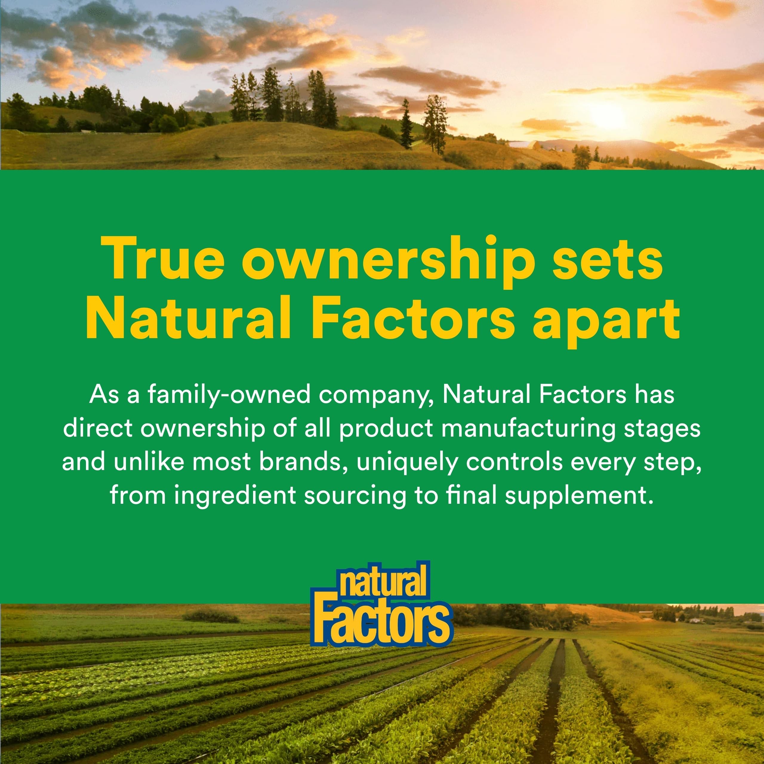 Natural Factors comparación de tamaño del frasco con porciones visuales para referencia