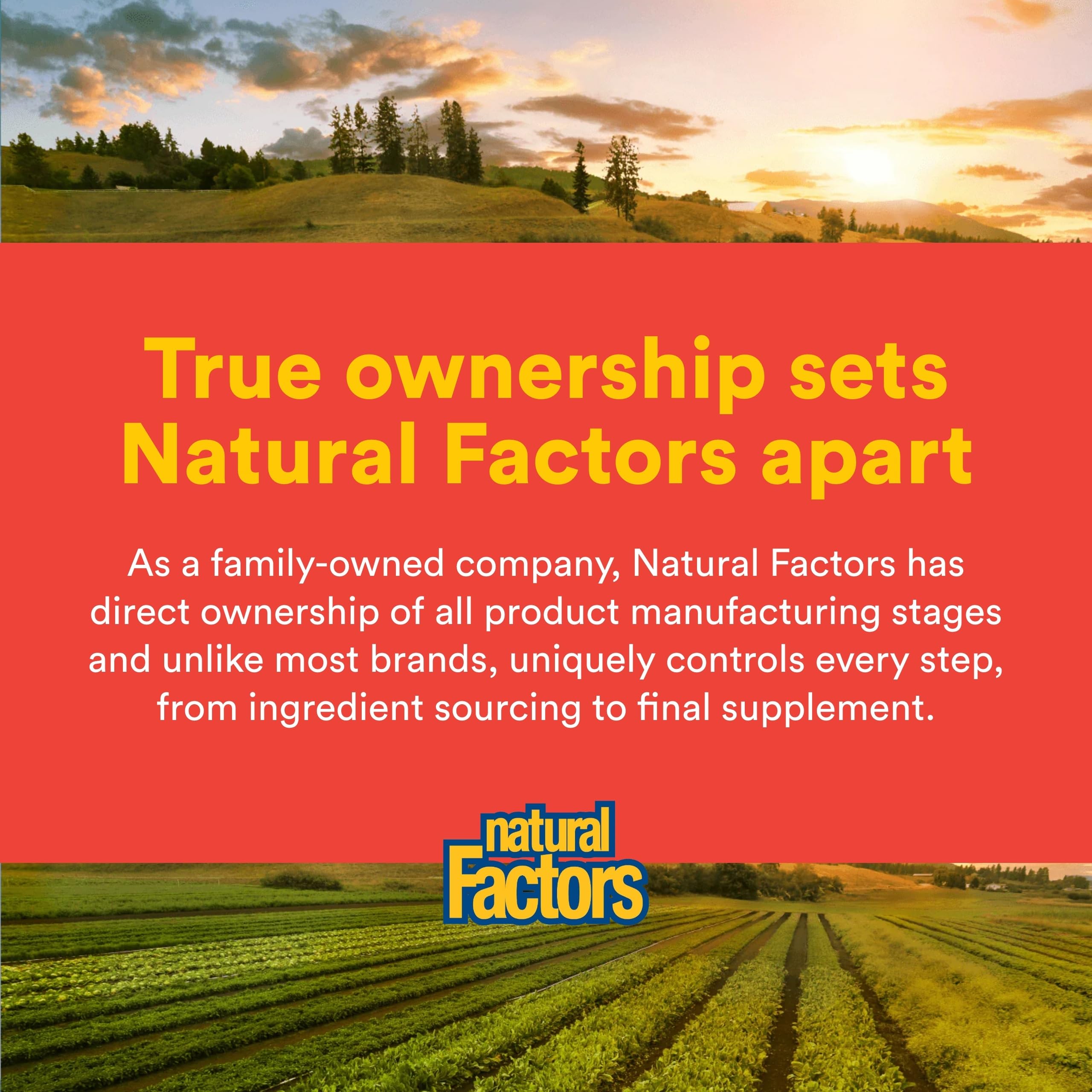 Natural Factors cápsula junto a regla para comparar tamaño y facilidad de tragar