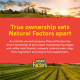 Natural Factors cápsula junto a regla para comparar tamaño y facilidad de tragar
