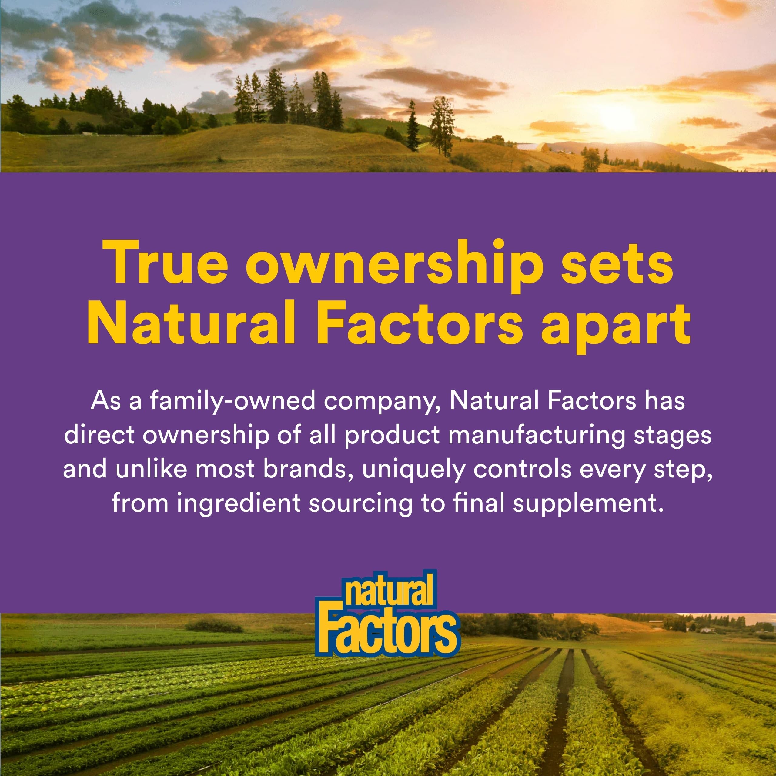Natural Factors polvo añadido a un batido, integración en rutina diaria saludable