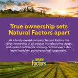 Natural Factors polvo añadido a un batido, integración en rutina diaria saludable