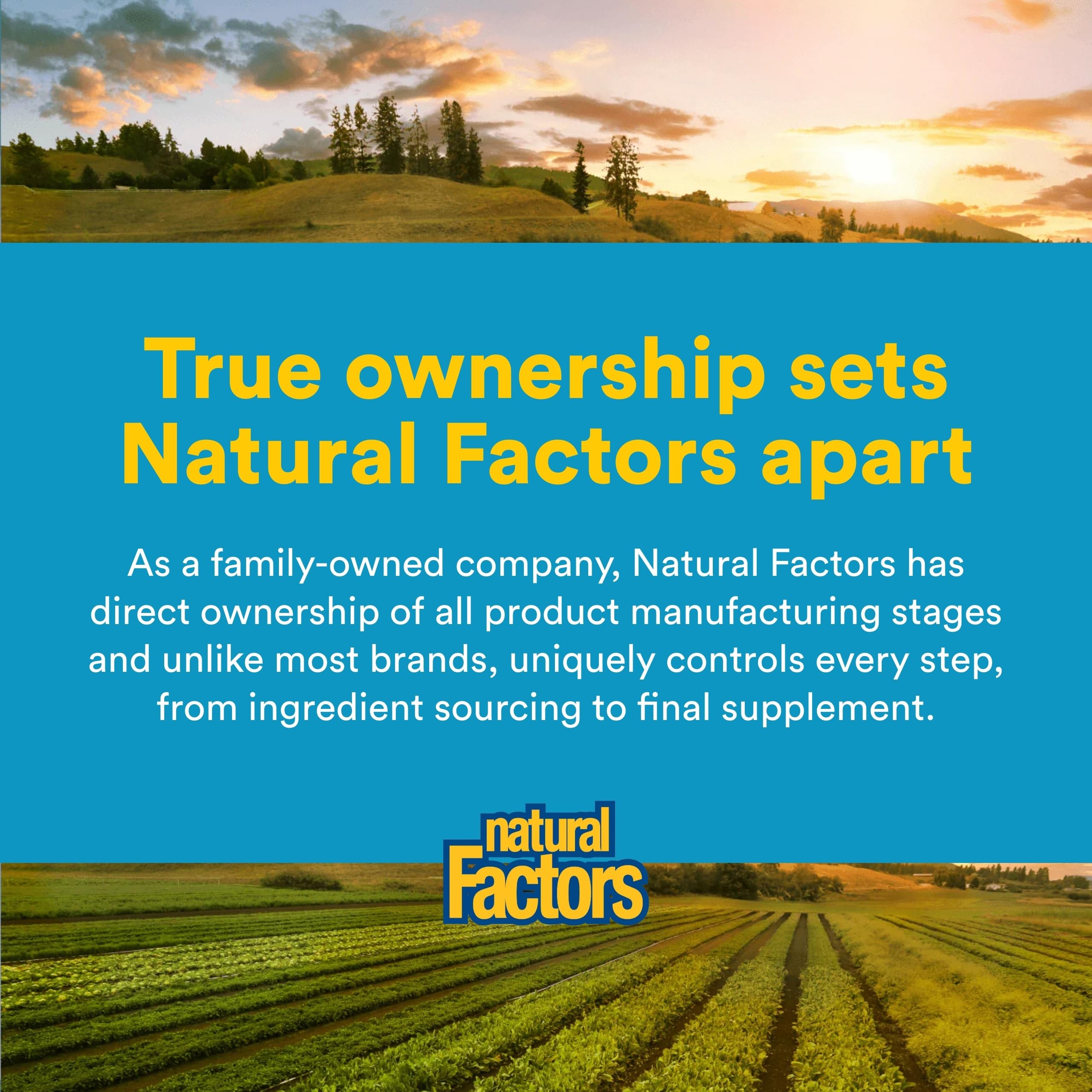 Natural Factors uso del suplemento junto al desayuno para toma diaria