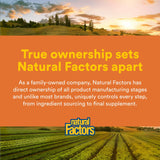 Natural Factors ingredientes naturales de Theracurmin mostrando curcumina pura
