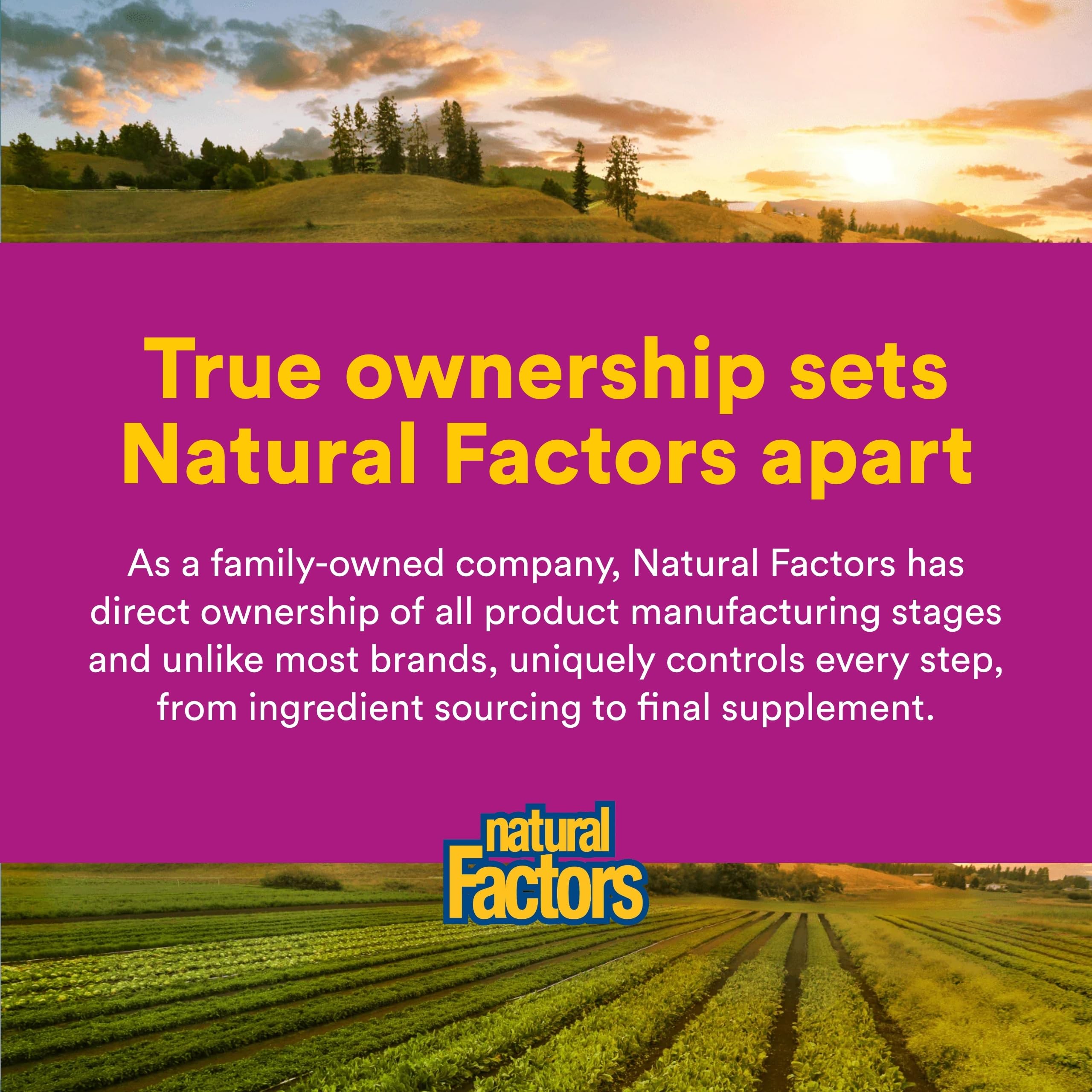 Natural Factors suplemento en la encimera de cocina como parte de la rutina diaria