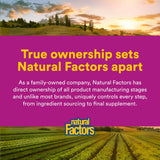 Natural Factors suplemento en la encimera de cocina como parte de la rutina diaria